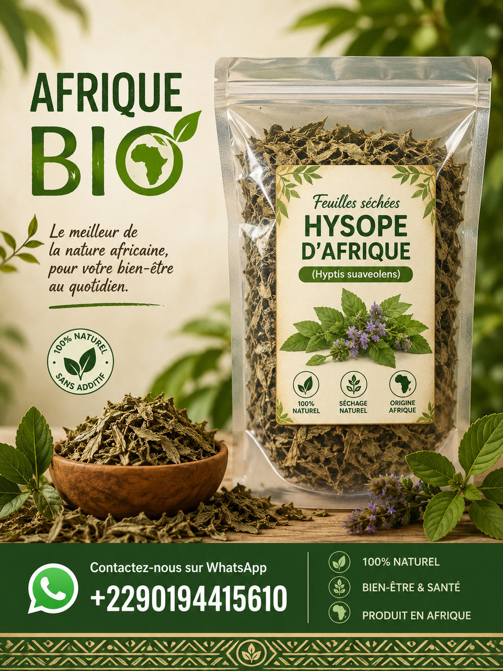 Produit 055 : Hysope d'Afrique pour la Régulation de la Tension et Purification Spirituelle