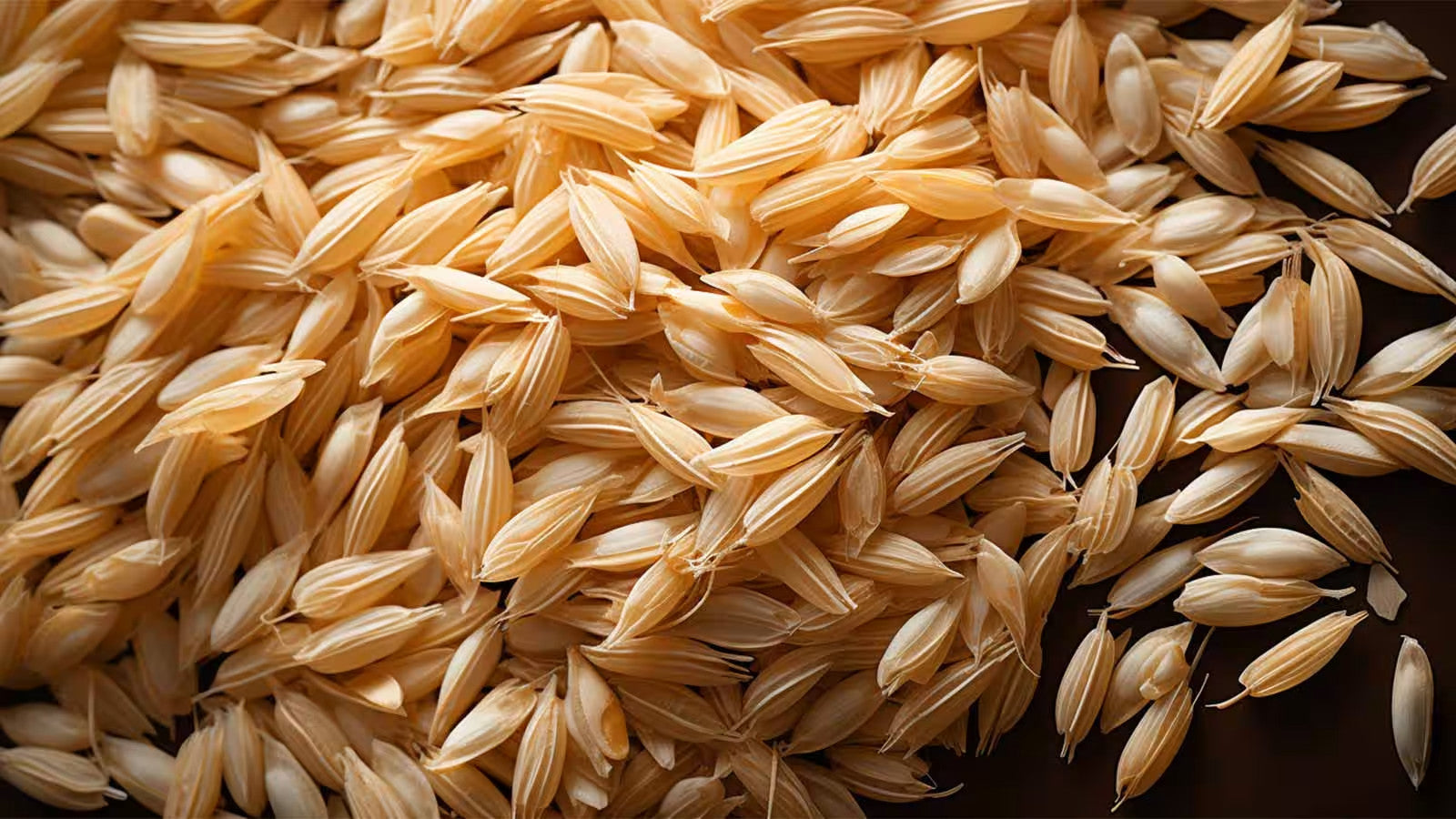 Produit 099 :Avoine Naturelle Séchée – Avena sativa – Qualité Premium