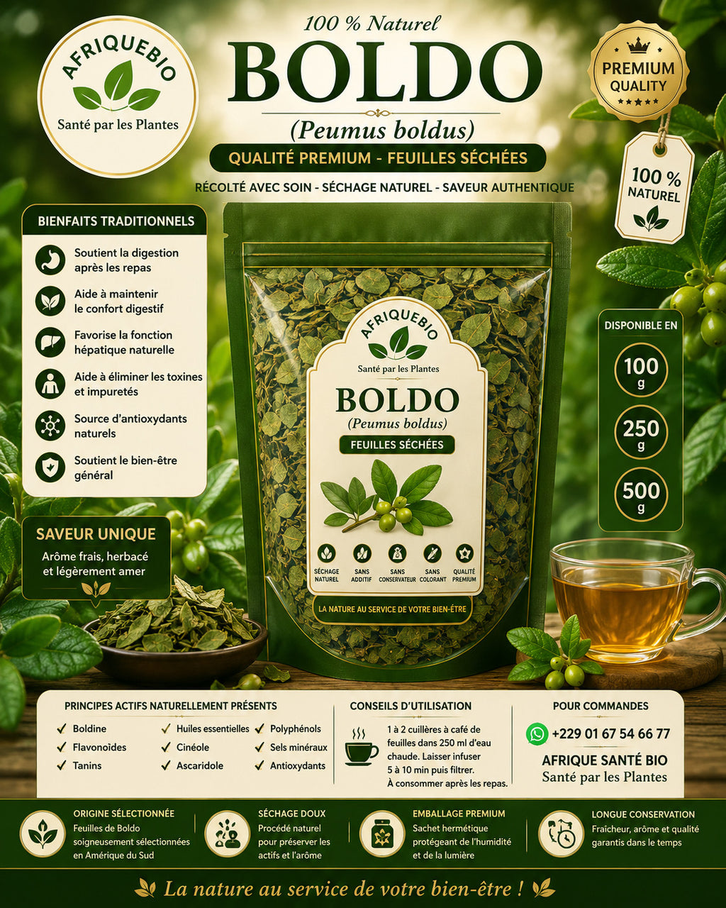 Produit 132 :Boldo Séché 100 % Naturel – Peumus boldus – Qualité Premium