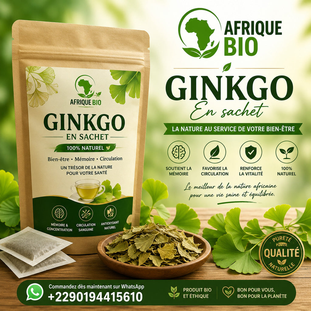 Produit 091:Ginkgo Améliore la mémoire, Active la circulation Riche en antioxydants