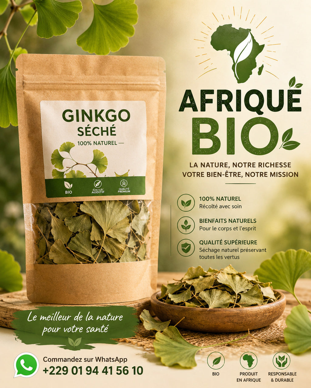 Produit 091:Ginkgo Améliore la mémoire, Active la circulation Riche en antioxydants