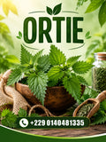 Produit 153 : Ortie (Urtica dioica), Détoxifiante et diurétique Très riche en Nutriment