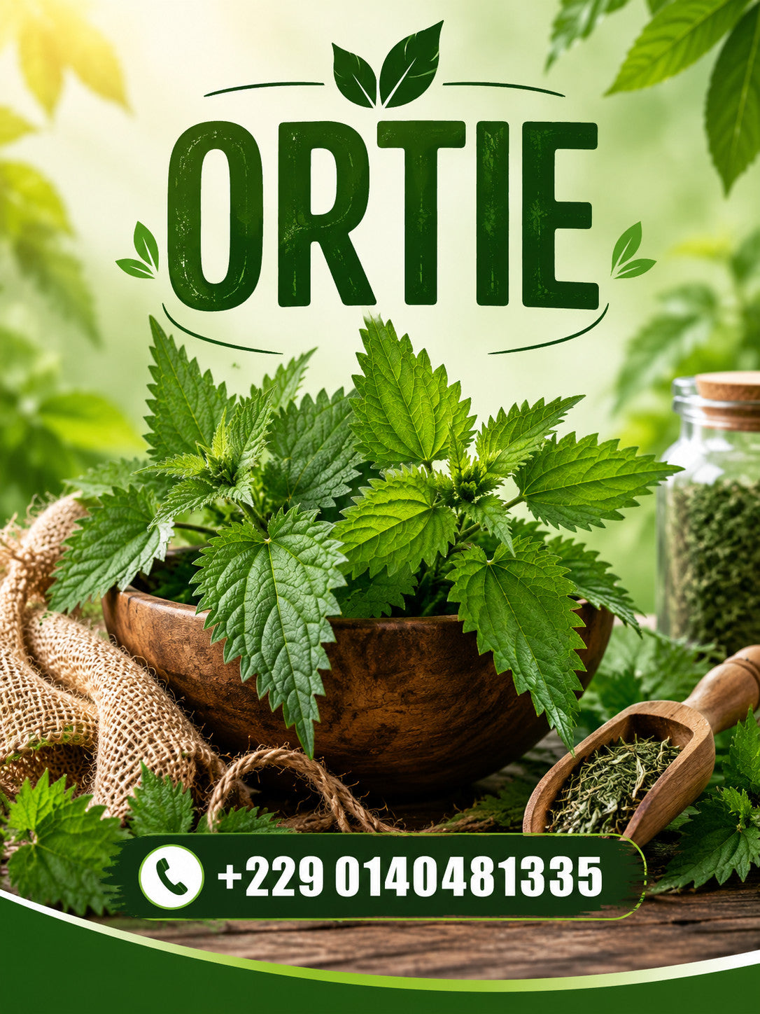 Produit 153 : Ortie (Urtica dioica), Détoxifiante et diurétique Très riche en Nutriment