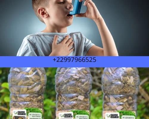 Plante pour soigner l'asthme